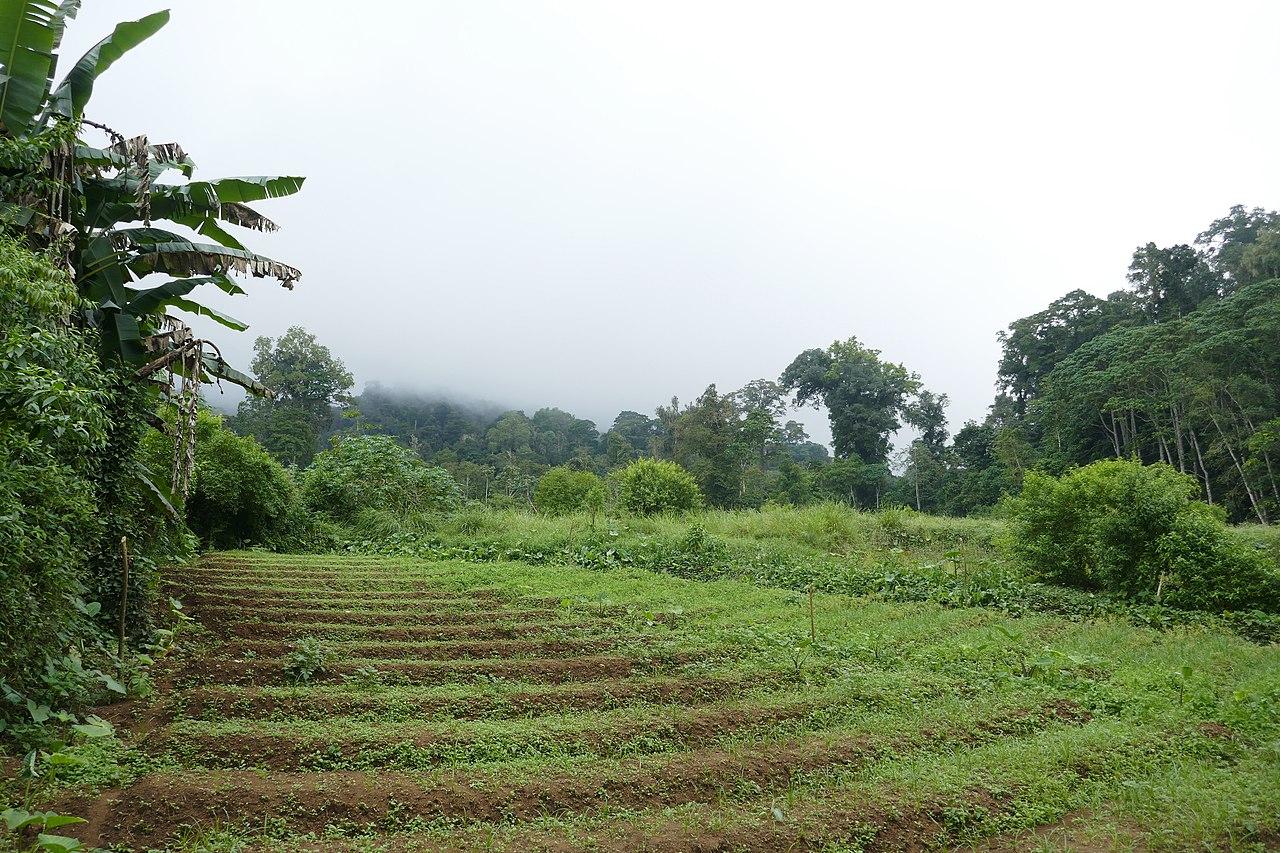 São Tomé and Príncipe